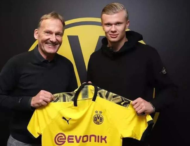 定BP模板 定BP模板